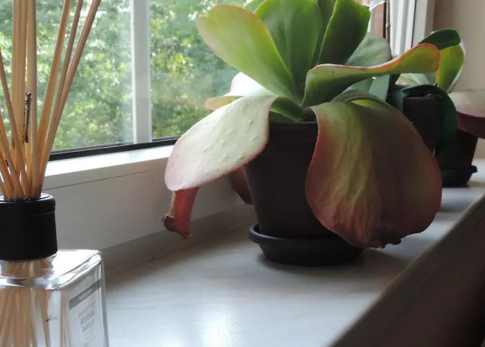 Carl Von Clausewitz Burg bei Magdeburg